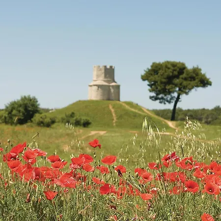 Daire Beautiful In With Kitchen