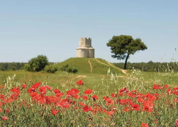 דירה Beautiful In With Kitchen